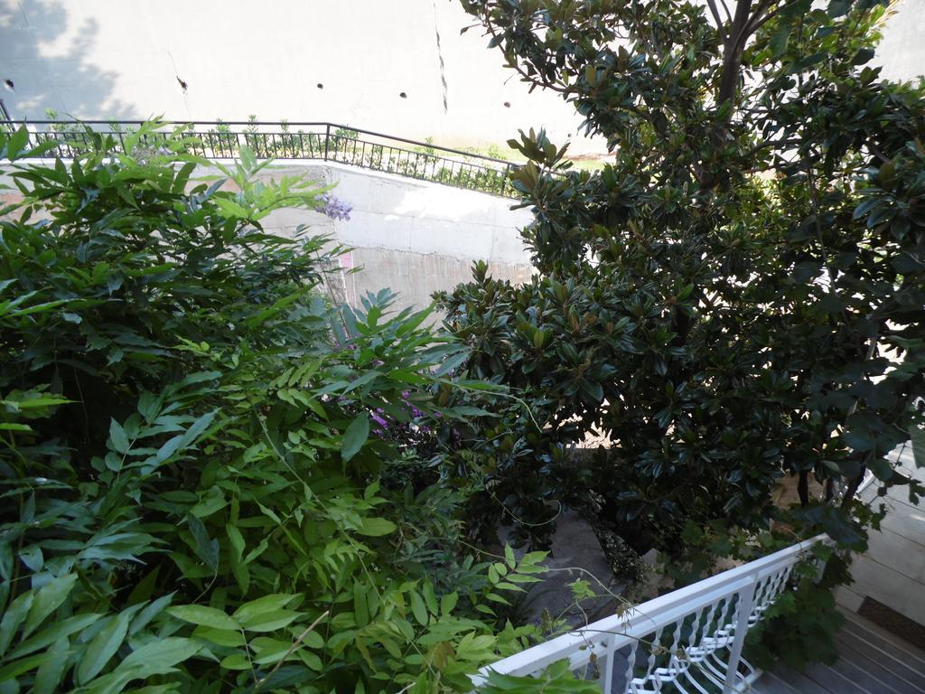 Apartments Slavica Jovanovic Свети-Стефан Номер фото